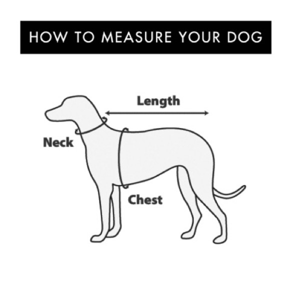 HP Pet Barn Coat | Insulated Puffer Jacket | Quilted | New | L | Navy Blue | Dog - Picture 5 of 17